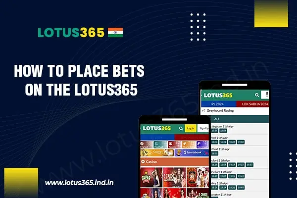 Place bet on Lotus365 India